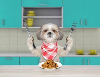 Bıçak ve çatal masada oturan ve kuru gıda yiyecek yemek için aç shitzu köpekle