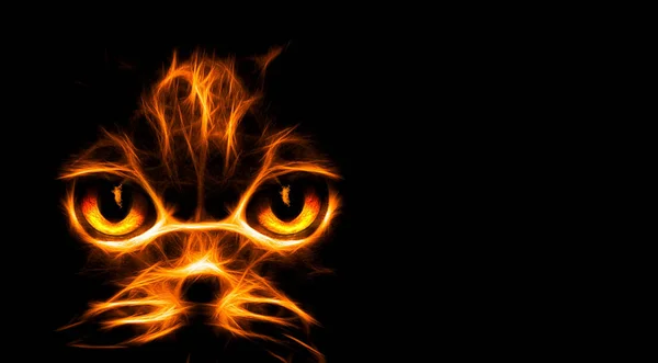 검은 배경에 초록 불 고양이 — 스톡 사진