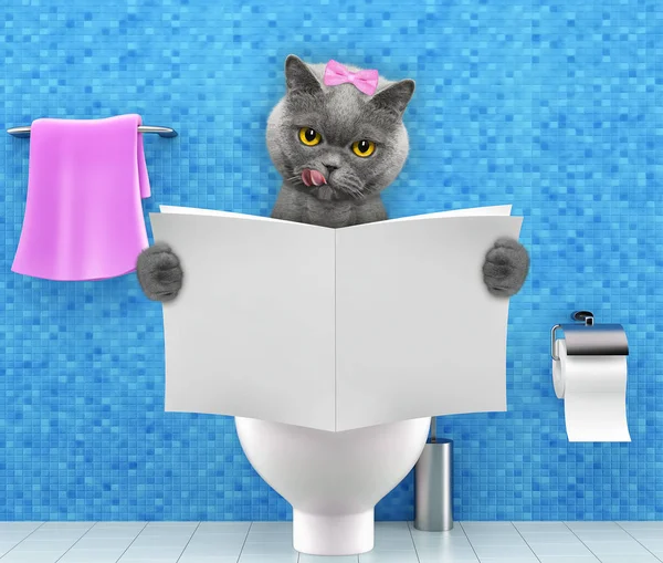 Bir klozet kapağı ile sindirim sorunları ya da dergi ya da gazete okuma kabızlık oturan kedi
