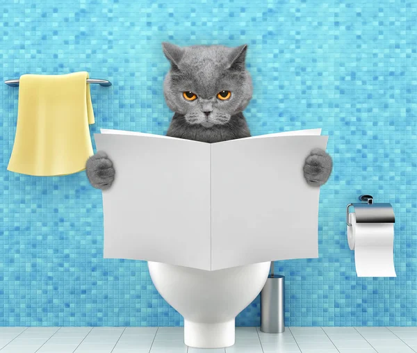 Gato irritado sentado em um assento de vaso sanitário com problemas de digestão ou constipação leitura revista ou jornal — Fotografia de Stock