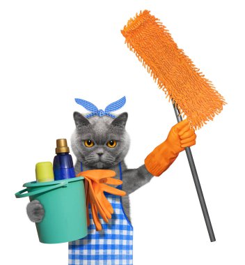 Kedi önlük ile paspas ev işleri yapıyor. Beyaz izole