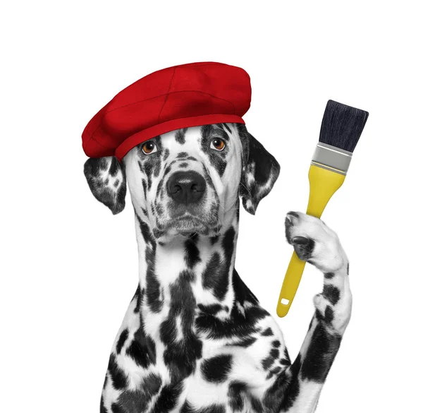 Dalmatiska hund som målare med pensel. Isolerad på vitt — Stockfoto