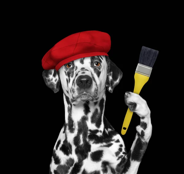 Dalmatian dog as a painter with a brush. Isolated on black — Stockfoto