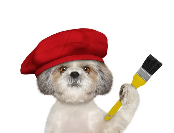 Shitzu dog as a painter with a brush. Isolated on white — 图库照片