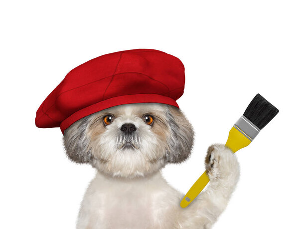 Shitzu dog as a painter with a brush. Isolated on white