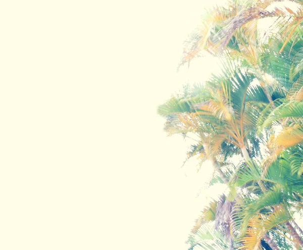 Palmiye ağaçları renklendirilmiş ve biçimlendirilmiş — Stok fotoğraf
