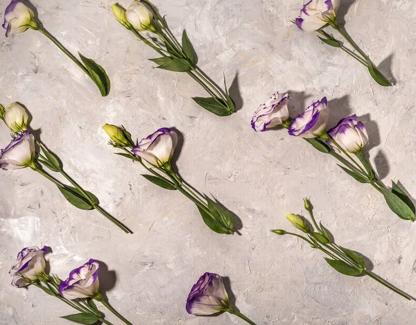 Flowers on white background