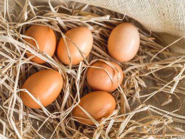 Çuvaldaki yumurtalar ve ışıklı pipetler.