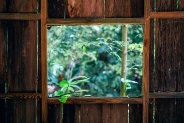 A beautiful view of summer from the old rustic wooden window