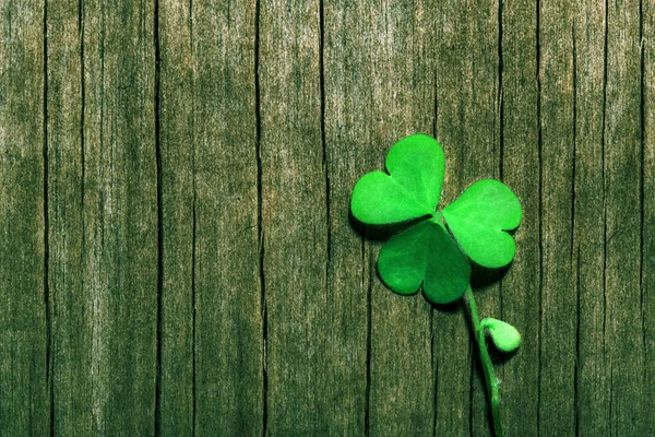 Foglia di trifoglio su sfondo di legno verde squallido. San Patrizio, focus selettivo — Foto Stock