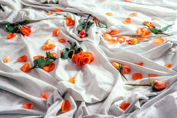 柔软的白色被褥，有橙红色的玫瑰和花瓣 — 图库照片