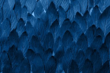 Yeşil nane yaprakları desen tasarımı. Ekoloji doğal yaratıcı kavram. Naneli bitkilerle üst görünüm doğa arkaplanı