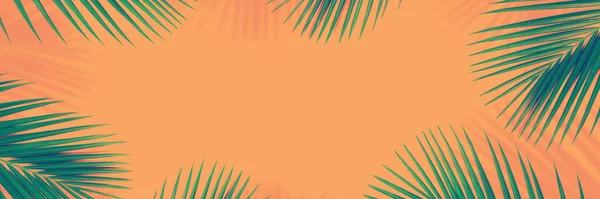 Tropical palm leaves frame on peach background. Minimal nature. Summer Styled. Flat lay pattern, panorama top view. Banner. Free copy space for text