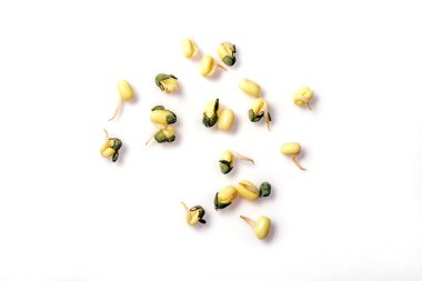 Beyaz arka planda taze gübre filizleri.