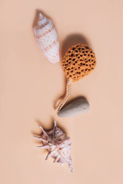 Doğal spa ve cilt temizleme ürünleri banyo aksesuarlarıyla doğal sünger, deniz kabuklu sünger taşı gibi..