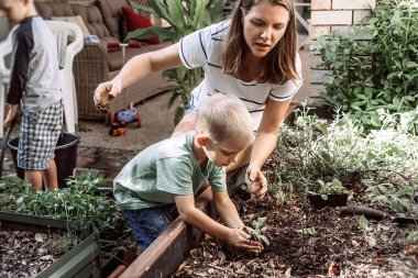 Anne ve oğulları bahçeye bir bitki ektiler. Küçük çocuk toprağa filizleniyor.
