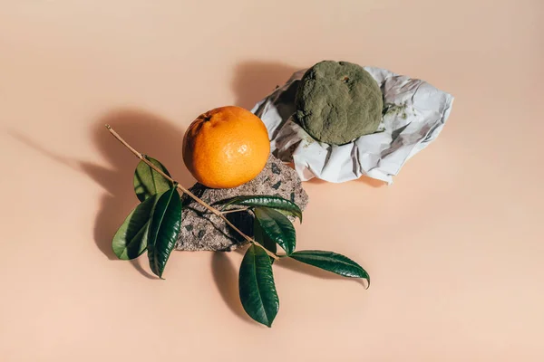Mandarinas frescas e podres. tangerinas estragadas com mofo verde e fungo em papel e um maduro fresco em uma rocha com um ramo verde com folhas — Fotografia de Stock