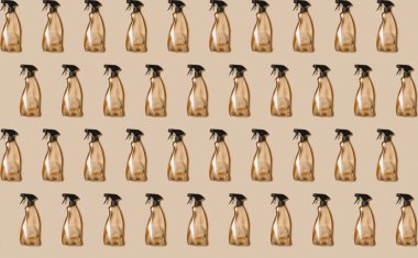 Şeffaf plastik şişe temizlik ürünleri, bej arka planda ev temizlik sıvısı..