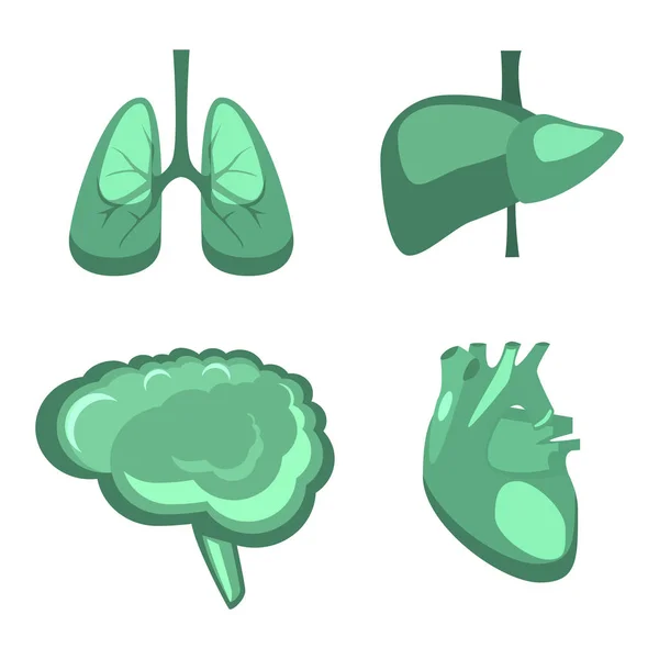Ludzkie organy wewnętrzne — Wektor stockowy