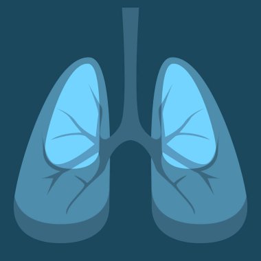 İnsan iç organları 