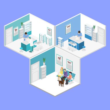  İzometrik iç veteriner Kliniği.