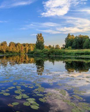 Nehir nilüferler, yaz akşam ile