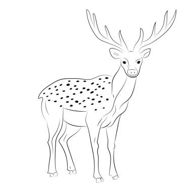 Hand Drawn Spotted Reindeer. Sketch Cute Deer Isolated on White clipart