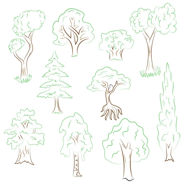 Ensemble d'arbres dessinés à la main. Dessins de caniche de sapin vert, cyprès, bouleau, chêne dans le style croquis — Image vectorielle