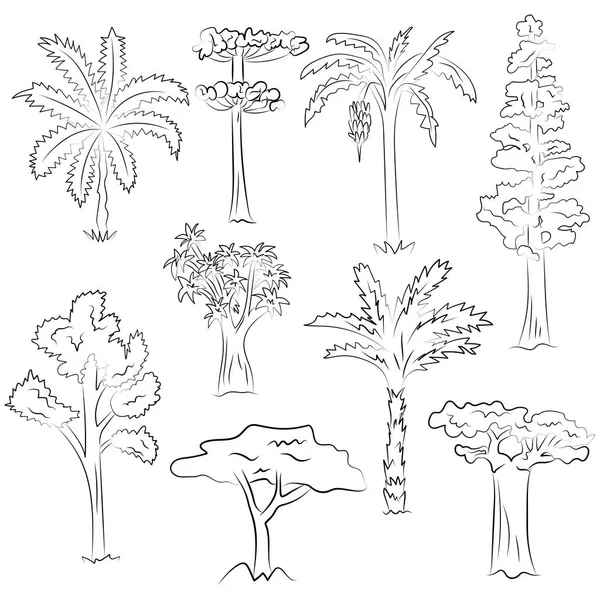 Handgezeichnete Reihe von Bäumen. Doodle-Zeichnungen von Palmen, Mammutbäumen, Aloe, Akazie, Ceiba im Skizzenstil. — Stockvektor