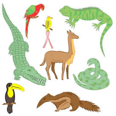 Güney Amerika'nın renkli elle çizilmiş hayvan. Iguana çizimler, timsah, papağan Ara, Tukan, sinek kuşu, Anaconda, karınca yiyen ve Lama doodle. Düz stil.