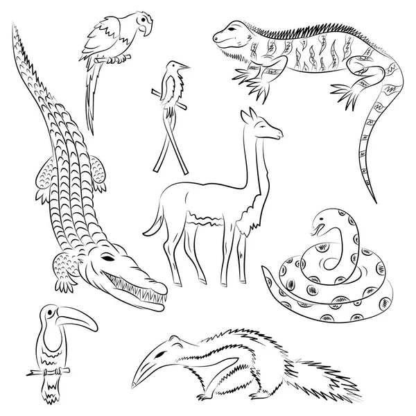 Handgezeichnete Tiere aus Südamerika. Doodle-Zeichnungen von Leguan, Krokodil, Papagei ara, Tukan, Kolibri, Anakonda, Ameisenbär und Lama. Skizzenstil. — Stockvektor