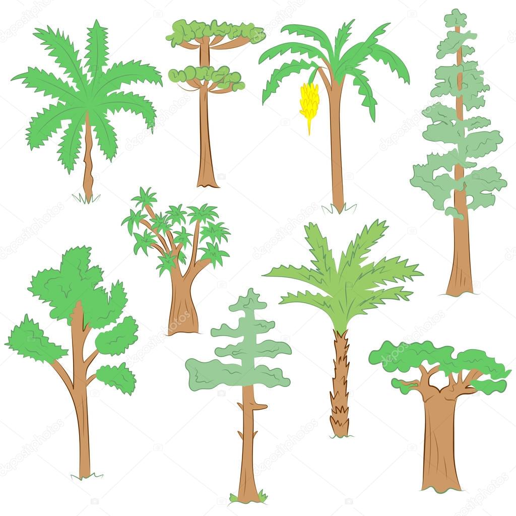 Hand Drawn Set of Green Trees. Doodle Drawings of Palms, Sequoia, Aloe, Acacia, Ceiba  in Flat Style