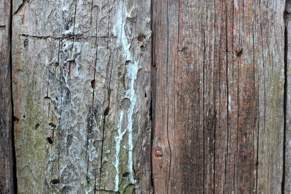 Régi fából készült kerítés, kék és piros festék maradványai — Stock Fotó