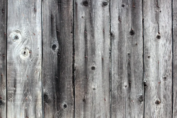 Vecchi pannelli grigi recinzione con sfondo chiodi arrugginiti — Foto Stock