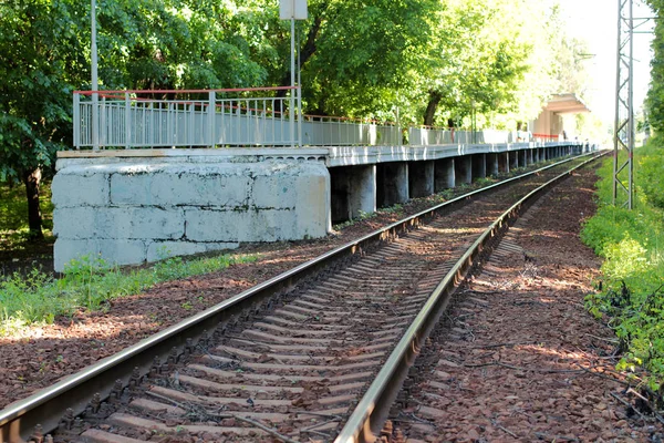 Abandoned station train platform in the woods — Stock Photo, Image