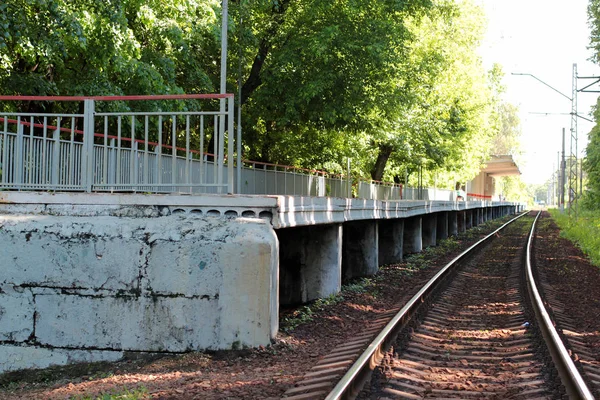 Abandoned station train platform in the woods — Stock Photo, Image