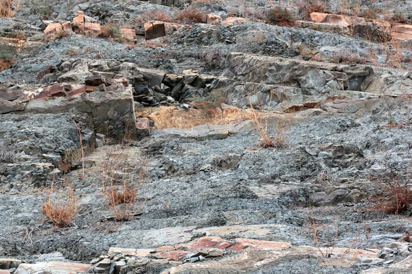 Piccoli alberi giovani che crescono in una fessura tra strati di arenaria rossa e grigia sulla roccia — Foto Stock