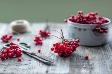 Masanın üzerine kırmızı Kartopu çiçeği
