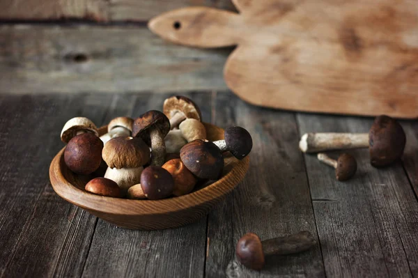 Лесные грибы на деревянном фоне — стоковое фото