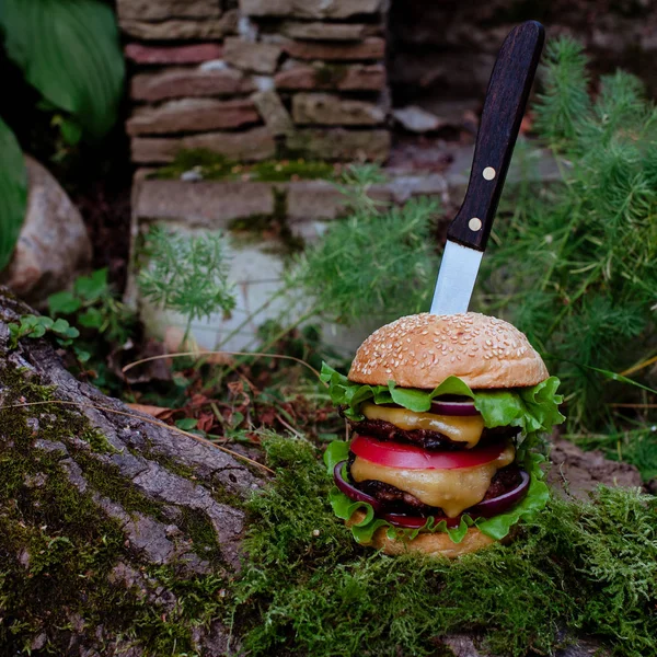 Burger fatto in casa — Foto Stock