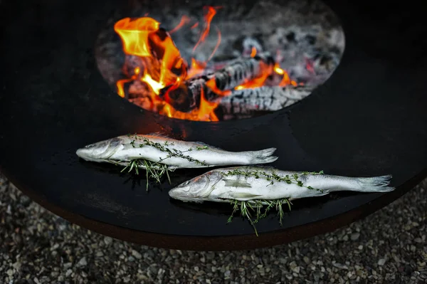 Zander fish grilled with herbs — Stock Image Zander fish grilled with herbs Stock Picture