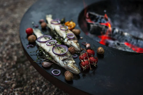 Zander fish grilled with herbs — Stock Image Zander fish grilled with herbs Stock Image