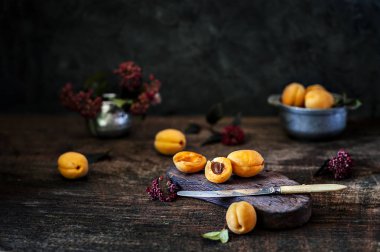 Çiçekli olgun kayısı 
