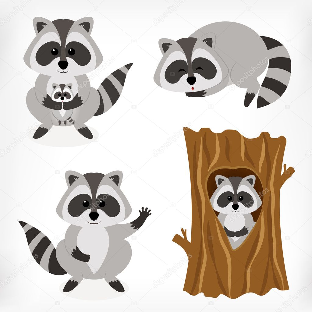 Raccoon face Vector Art Stock Images | Depositphotos
