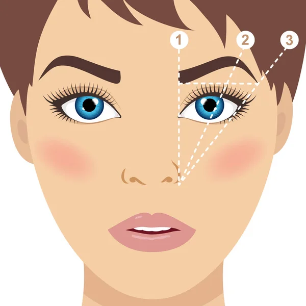 Face and eyebrow mapping. Trimming. Perfect brow shape vector scheme. — Stock Vector