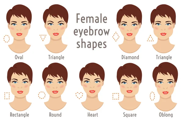 Forme del sopracciglio adatte a diversi tipi di viso da donna. Illustrazione vettoriale . — Vettoriale Stock