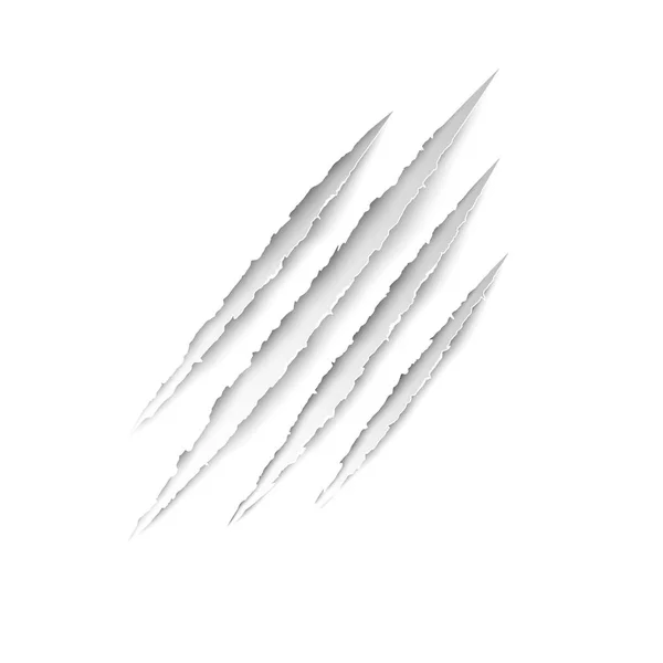 Claws dierlijke krassen - voorraad vector op witte achtergrond. Vector kras set. — Stockvector