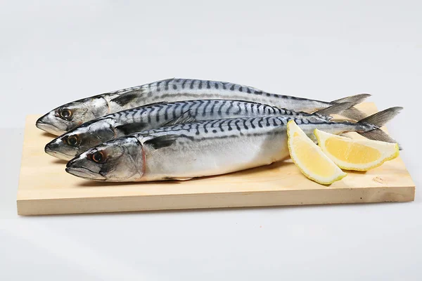 Pescado Crudo Caballa Fresca —  Fotos de Stock