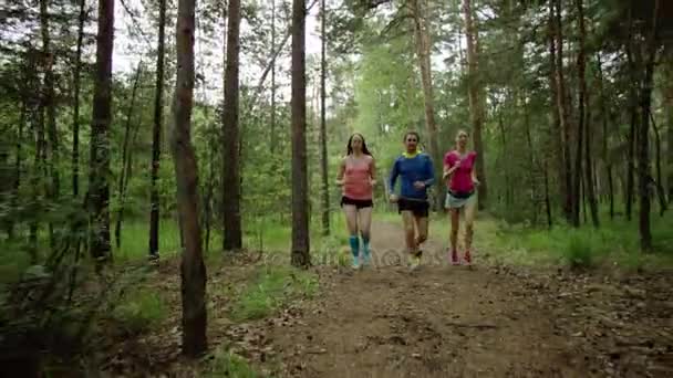 Біг тренування в лісі — стокове відео