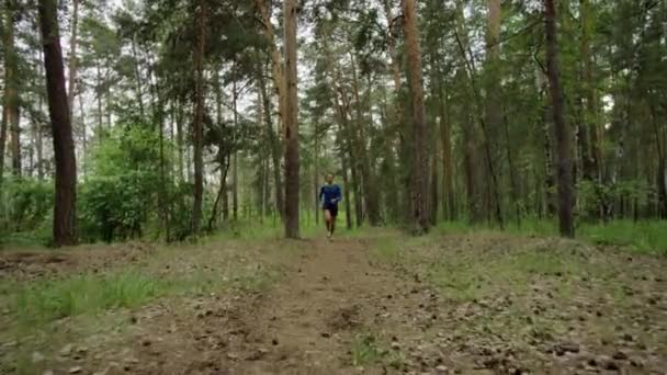 Бег в лесу — стоковое видео